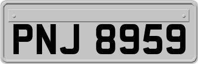 PNJ8959