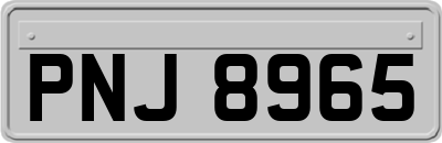PNJ8965