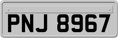 PNJ8967