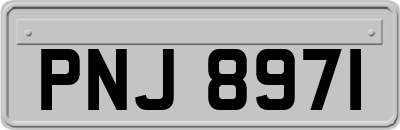 PNJ8971