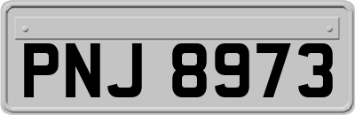 PNJ8973