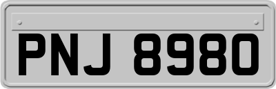 PNJ8980