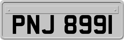 PNJ8991