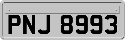 PNJ8993