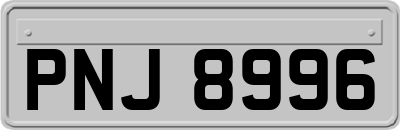 PNJ8996