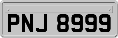 PNJ8999