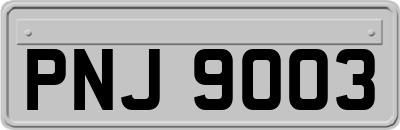 PNJ9003