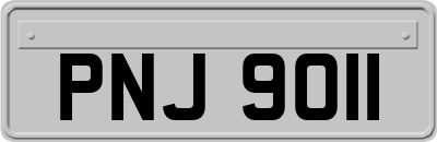 PNJ9011