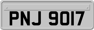 PNJ9017