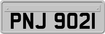 PNJ9021