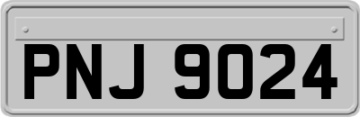 PNJ9024