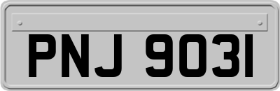 PNJ9031
