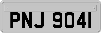 PNJ9041