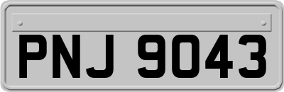 PNJ9043