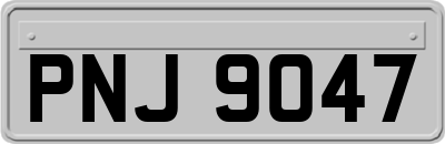 PNJ9047
