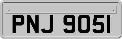 PNJ9051