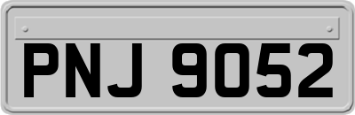 PNJ9052