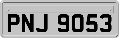PNJ9053