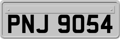 PNJ9054