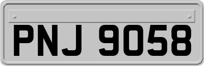 PNJ9058