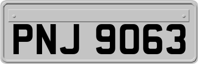 PNJ9063