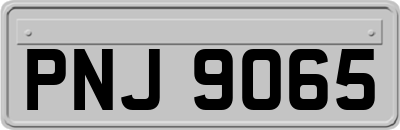 PNJ9065