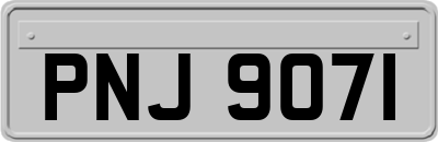PNJ9071