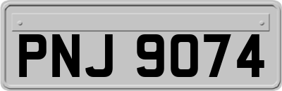 PNJ9074