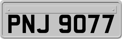 PNJ9077