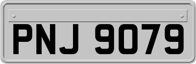 PNJ9079