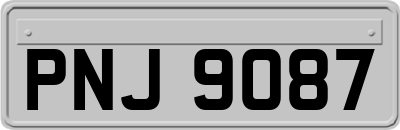 PNJ9087