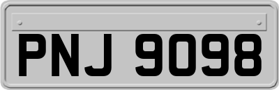 PNJ9098