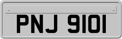 PNJ9101