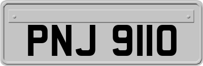 PNJ9110