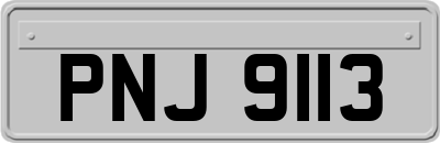PNJ9113