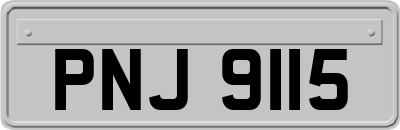 PNJ9115