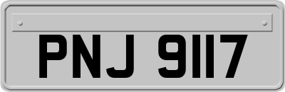 PNJ9117