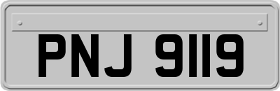PNJ9119
