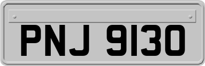 PNJ9130