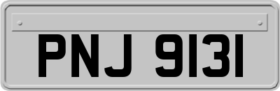 PNJ9131