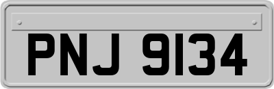 PNJ9134