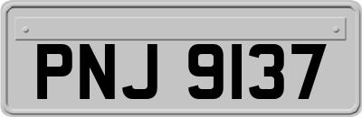 PNJ9137