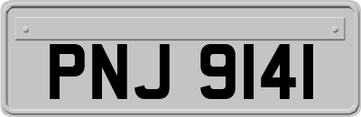 PNJ9141