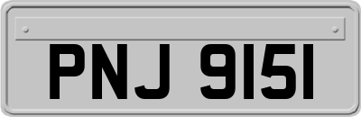 PNJ9151
