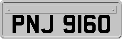 PNJ9160