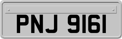PNJ9161