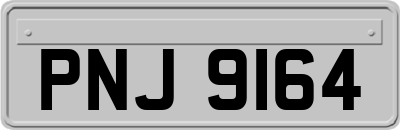 PNJ9164