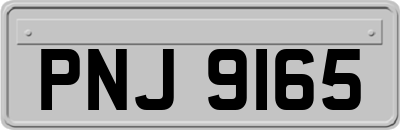 PNJ9165
