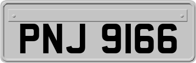 PNJ9166