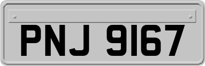 PNJ9167